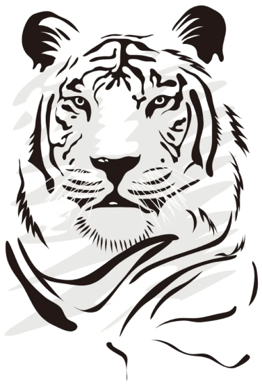 电话号码 Tiger SMS